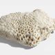 Sculptural White Coral Fossil, Organic Modern Decor from South Asia