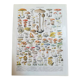 Lithograph on mushrooms from 1928 "amanita"