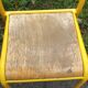 child schoolboy chair