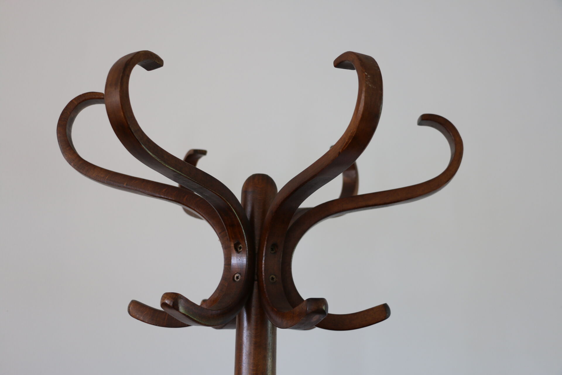 Baumann single dark beech parrot coat rack
