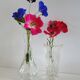 Set of 2 mini vases
