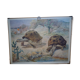 School poster, Giant Tortoise, 1940's, Sweden