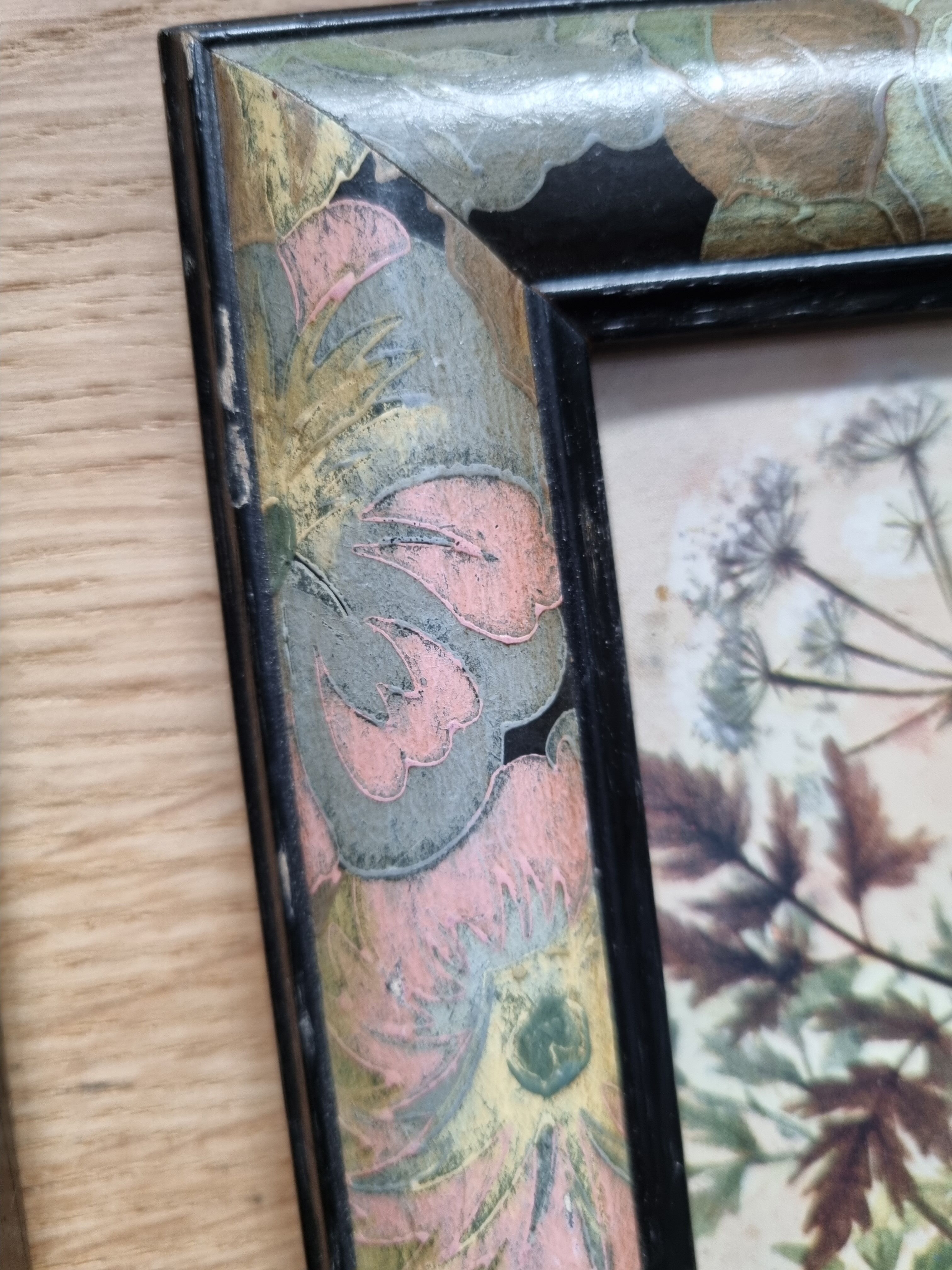 Paire de cadres art deco plantes médicinales