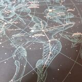 Map of the ancient sky edition of the 1972 IGN depicting the starry celestial sphere