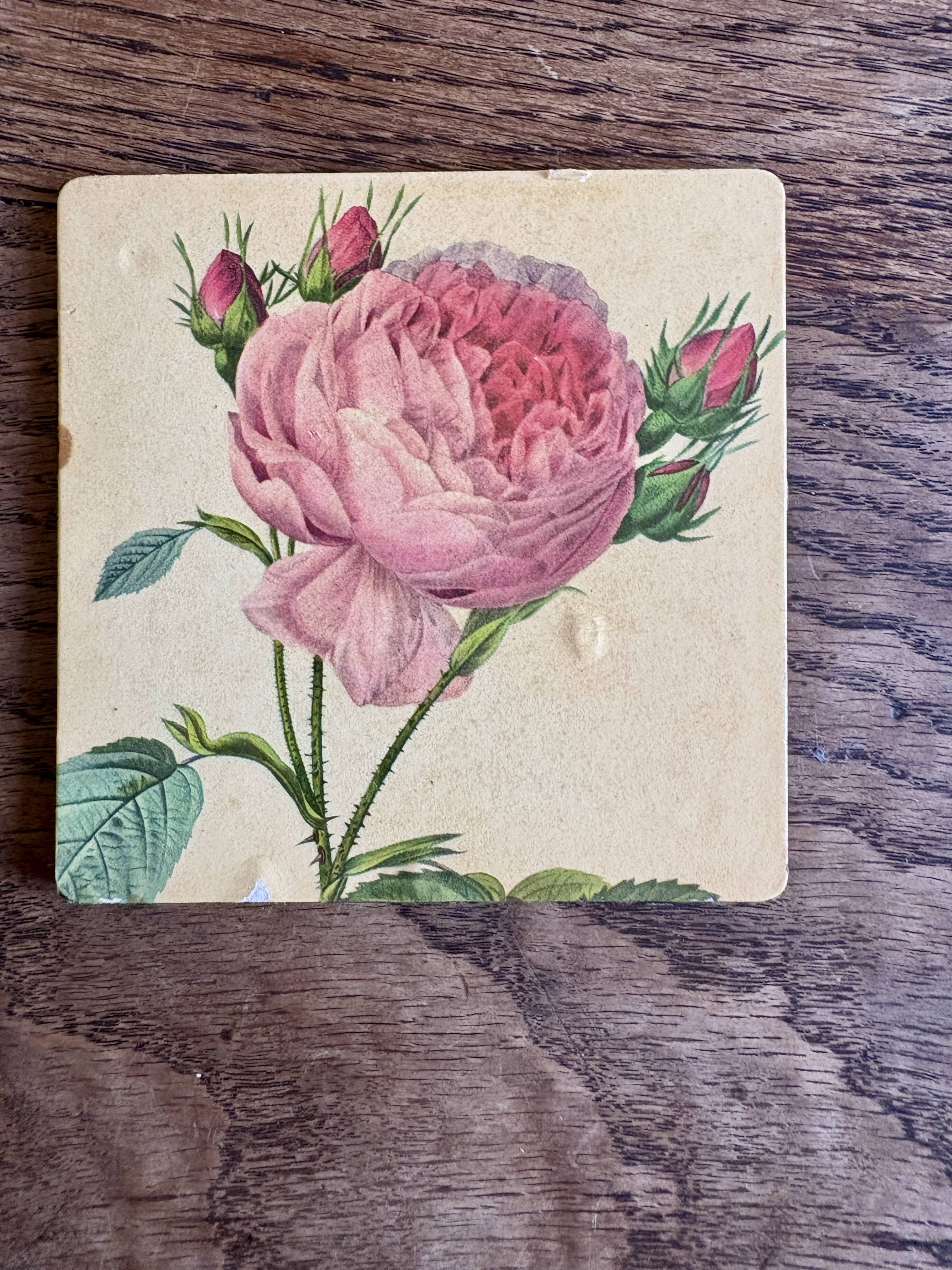6 dessous de verre vintage décor Redouté