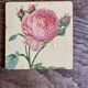 6 dessous de verre vintage décor Redouté