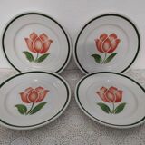 Plate mill of wolves