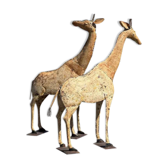 Girafe géante