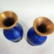 Paire de vases cloisonnés