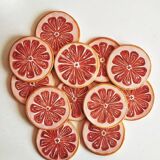 Pink grapefruit coaster
