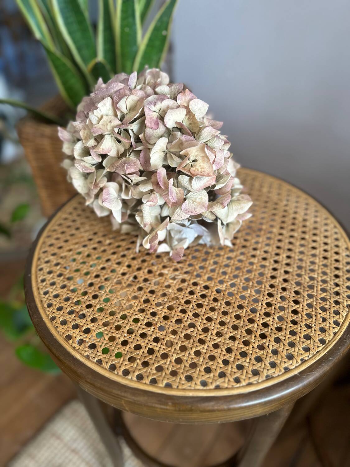 Wooden and cane bistro bar stools