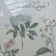 Planche botanique Tisane contre la grippe