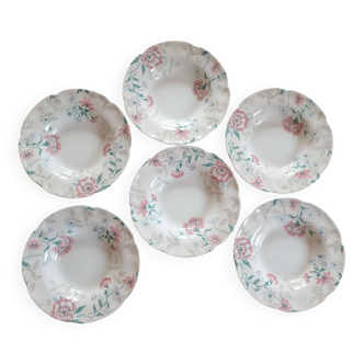 lot 6 assiettes creuses Faïence anglaise Jonhson  Brothers