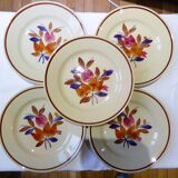 5 flat plates 2010146