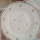 A lot of old white and gold porcelain plates T de F.