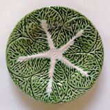 Lot bowls and plates in dabbling cabbage leaves