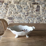 Dish
