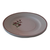 Flat plates Salins France