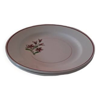 Assiettes plates Salins France