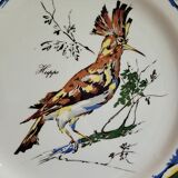 Plate