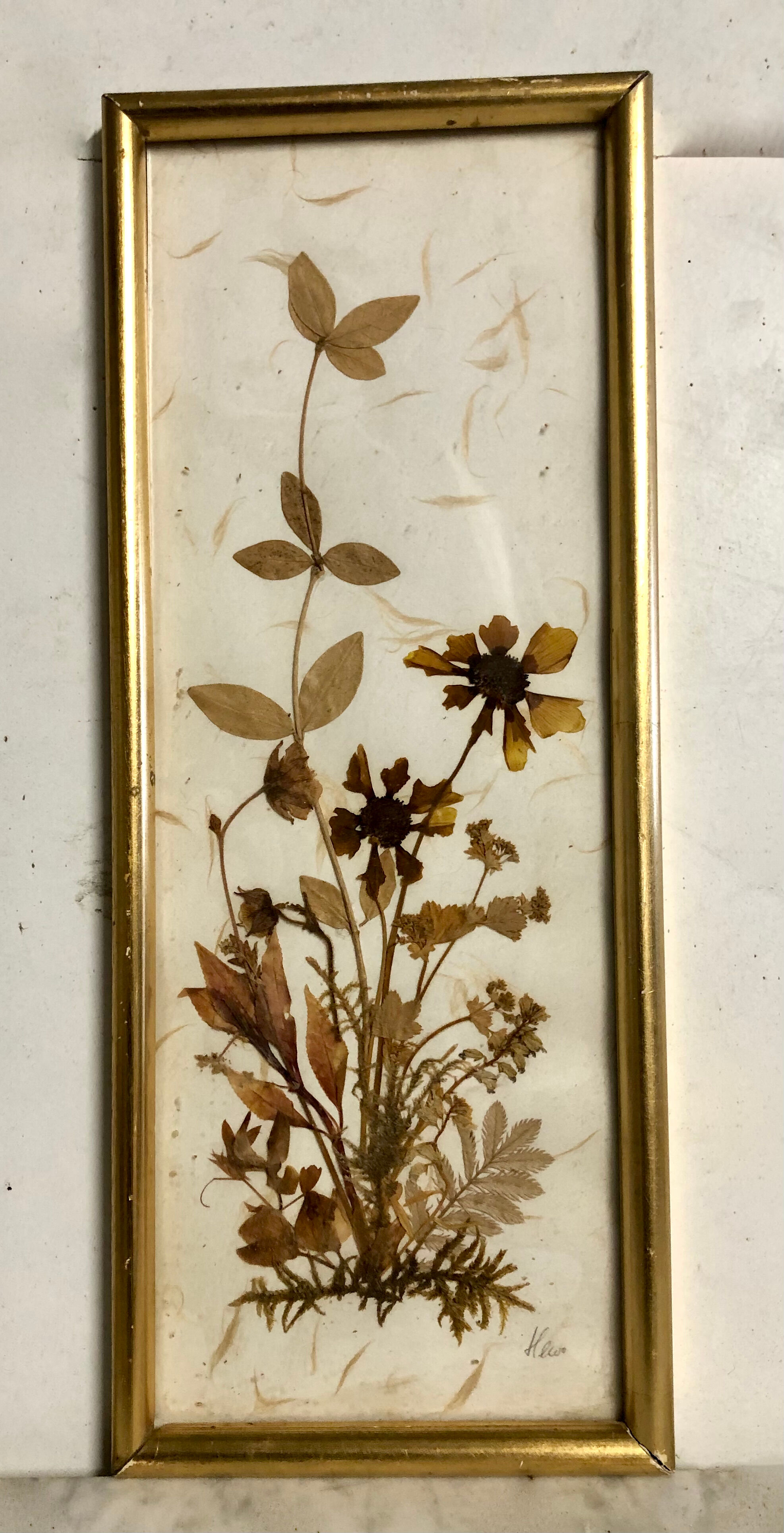 Old gilded frame