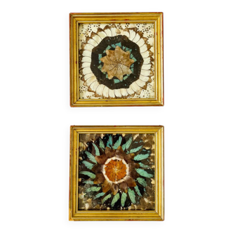 Set of two marquetry frames with butterfly wings