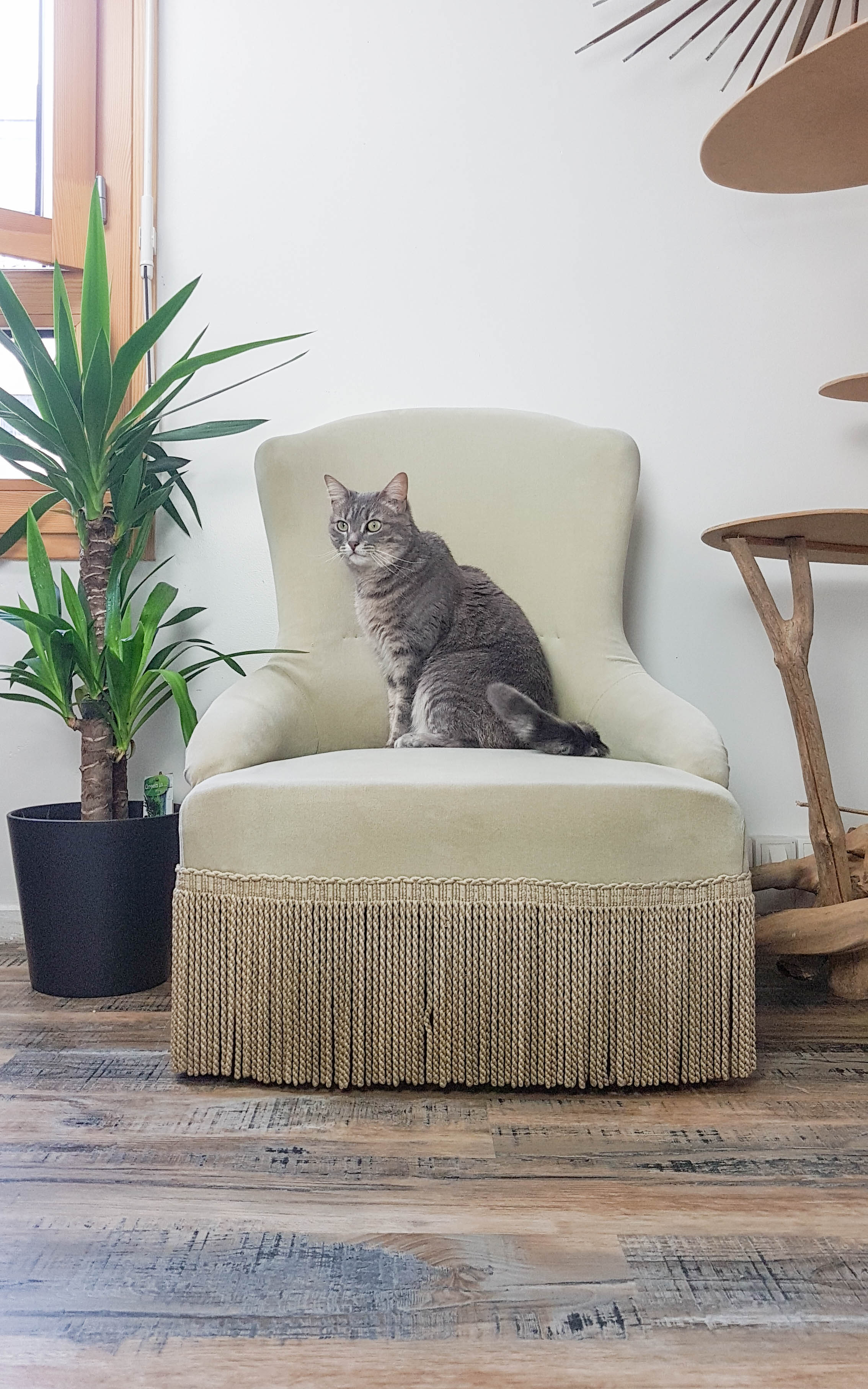 Vintage grey green almond green velvet toad chair