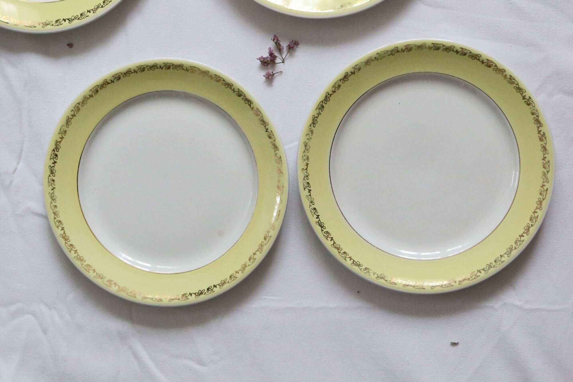Set of 6 flat plates Luneville, Libourne model, vintage French
