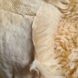 Real sheepskin