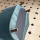 Banquette crapaud
