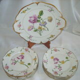 Set of plates and a dish