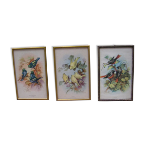 Série de gravures aux