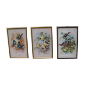 Série de gravures "aux oiseaux"