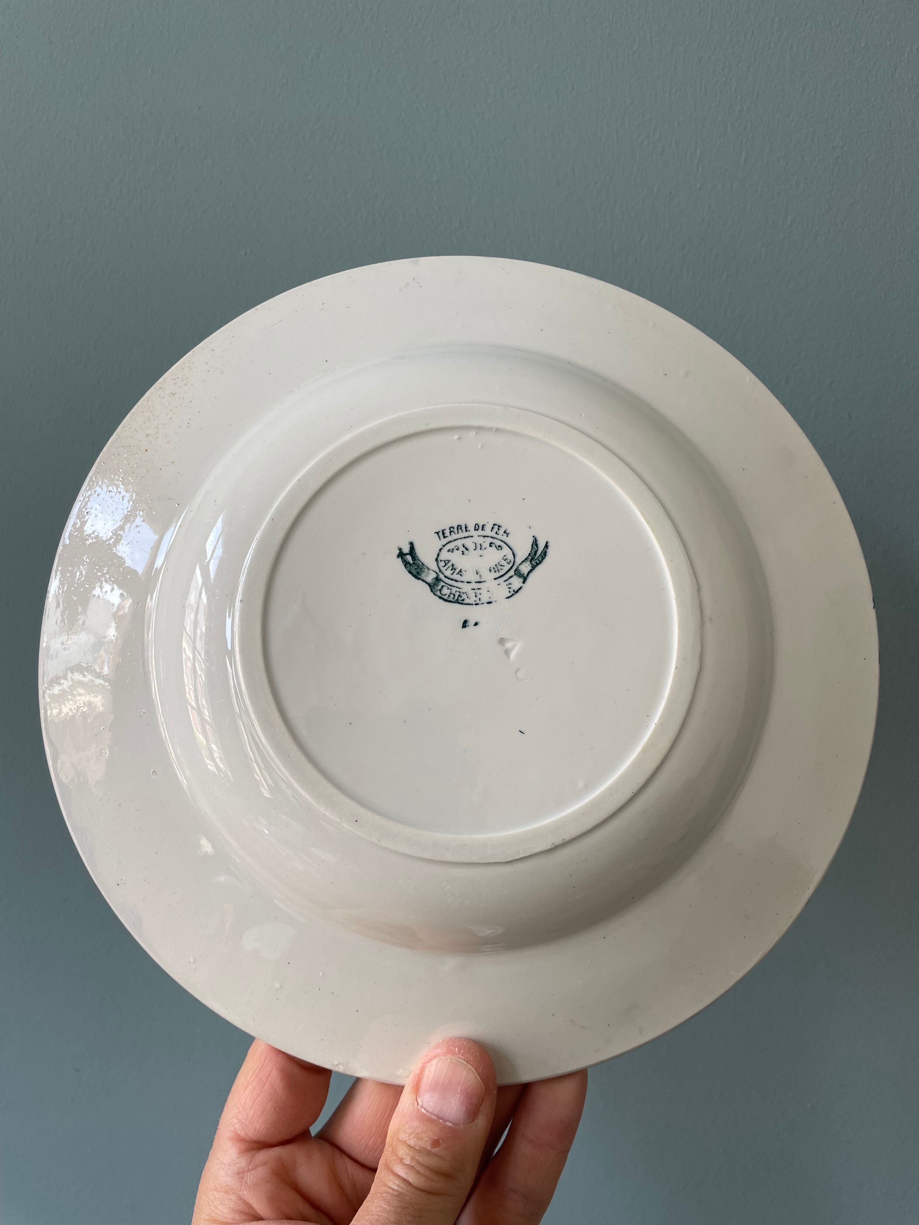 Set of 7 mismatched hollow plates Terre de Fer XIXth