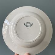 Set of 7 mismatched hollow plates Terre de Fer XIXth