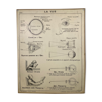 School poster Hatier sight, hearing, smell, taste, touch