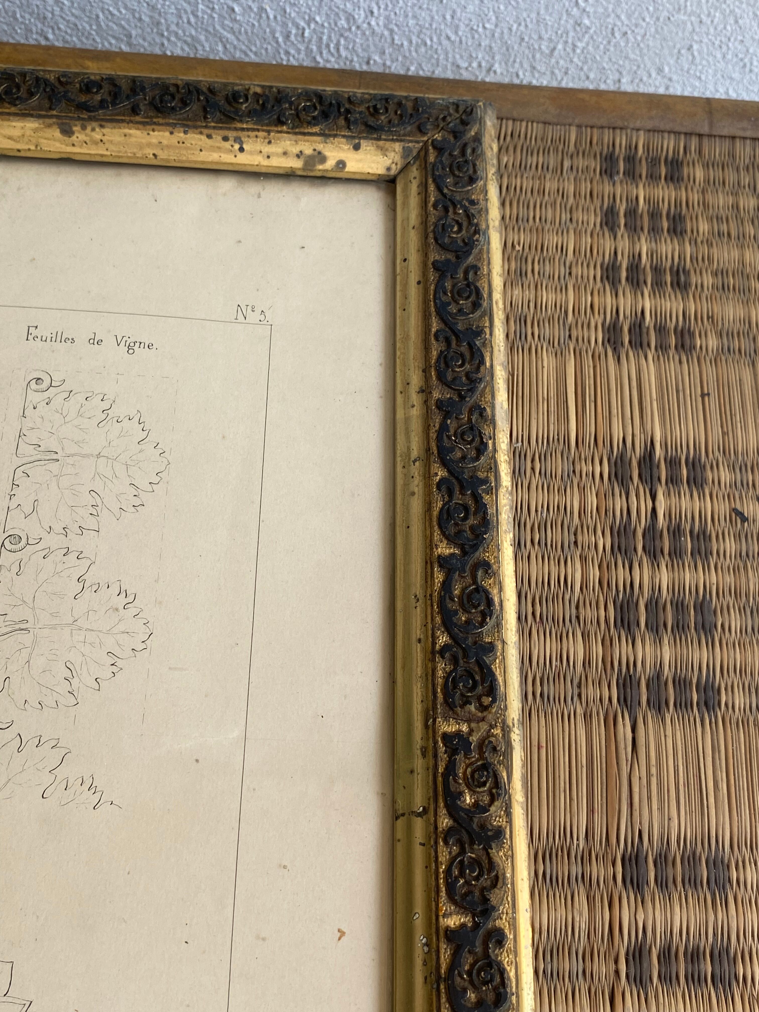 Architectural drawing 1857, glazed wood frame