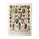 Old illustration Millot "eggs"