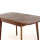 Table à manger rectangulaire extensible en teck - design néerlandais mid-century moderne