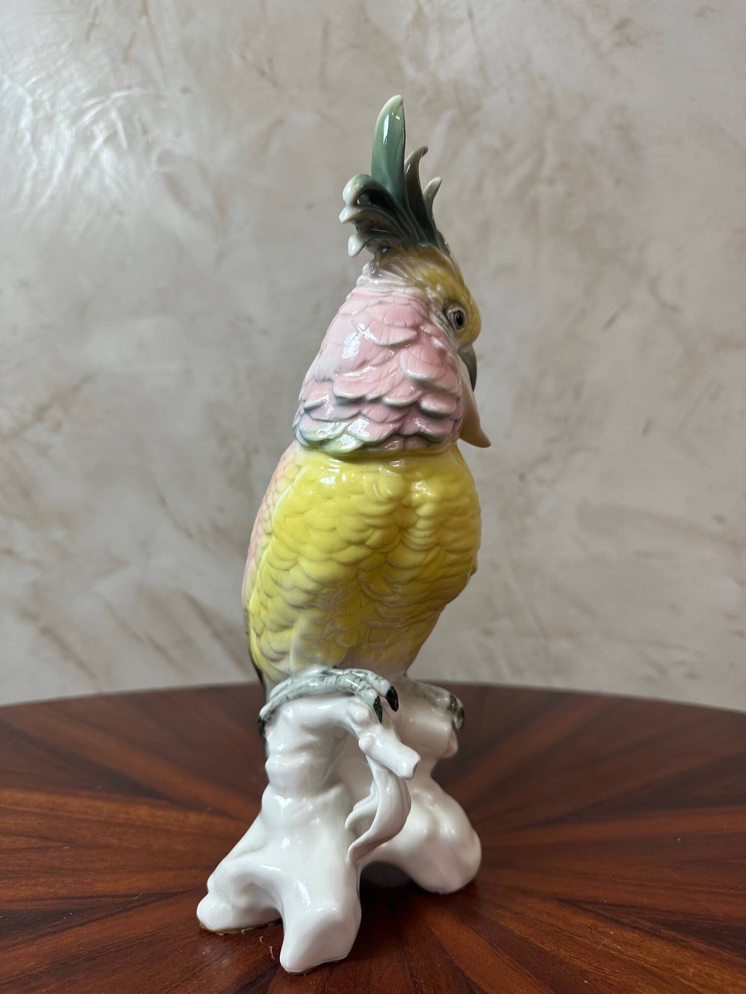 Saxony porcelain parrot