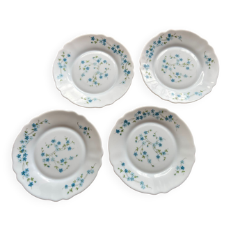 Arcopal forget-me-not plates