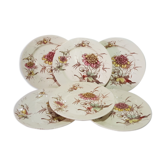 Set of 6 dessert plates in Luneville earthenware, iron earth, polychrome