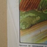 Affiche scolaire Rossignol L'inondation / Estuaire Delta