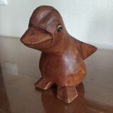 Exotic wood duck