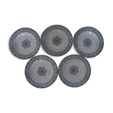 5 hollow plates in iron earth of Badonviller