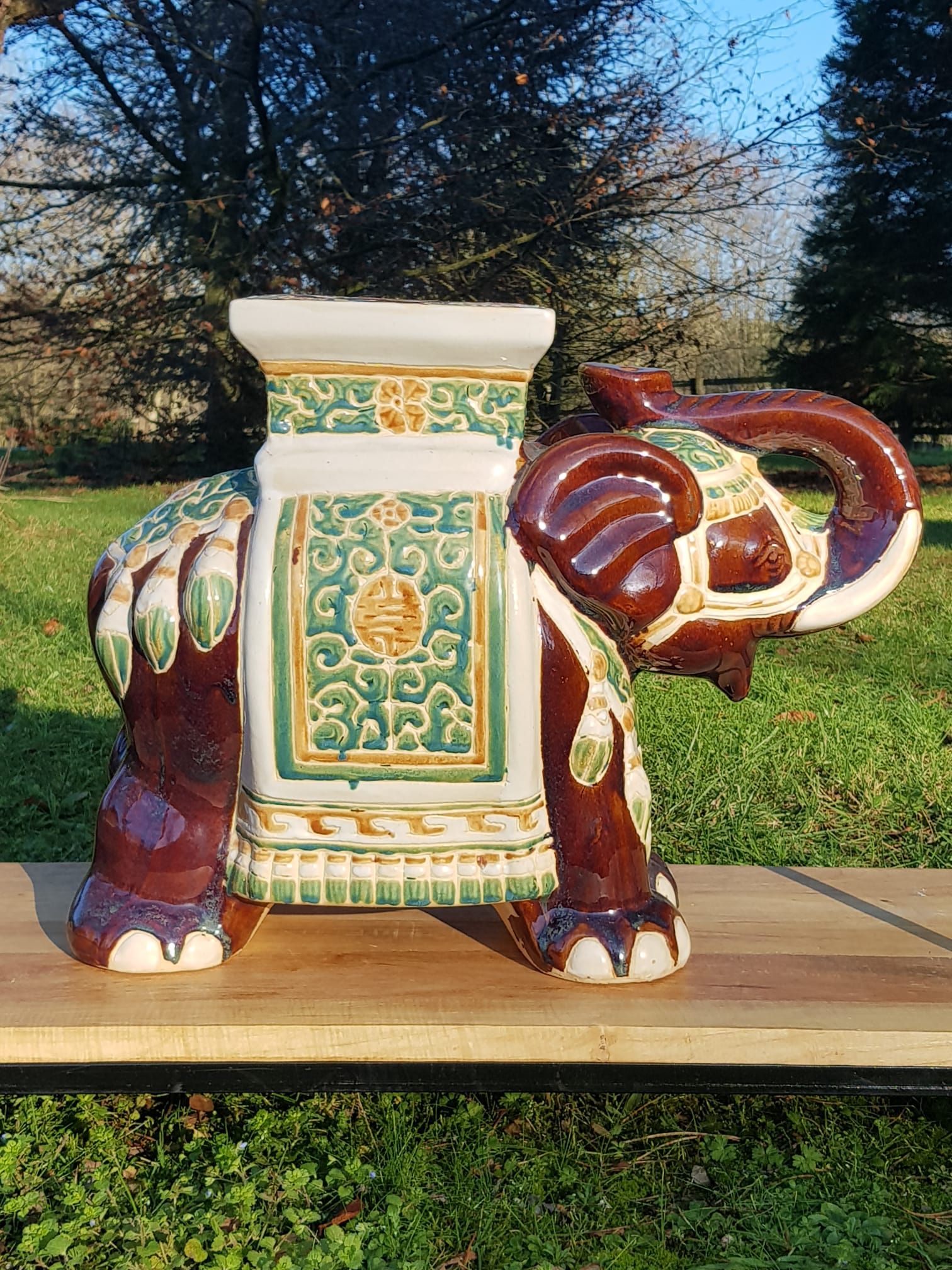Support plant elephant