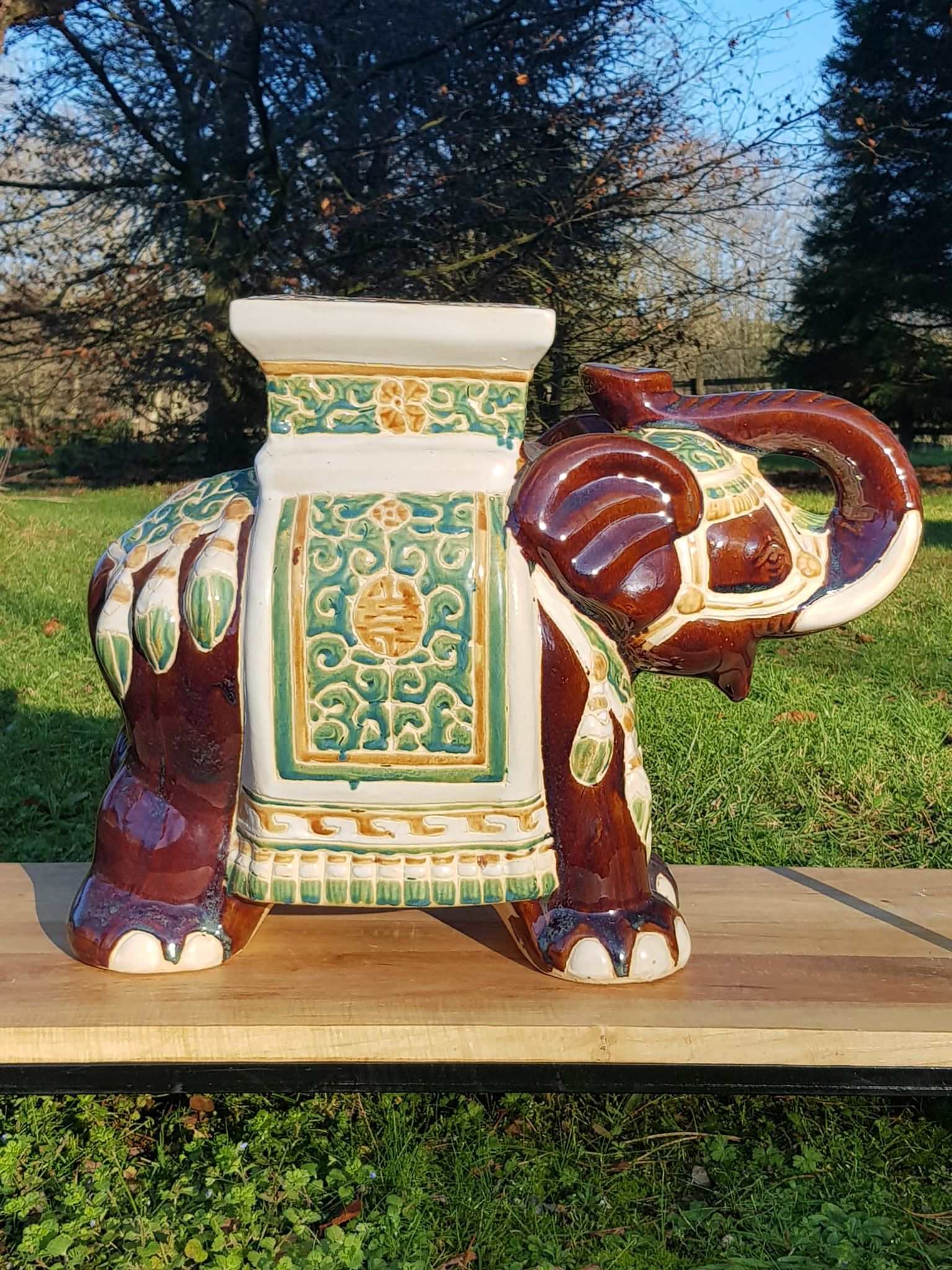 Support plant elephant