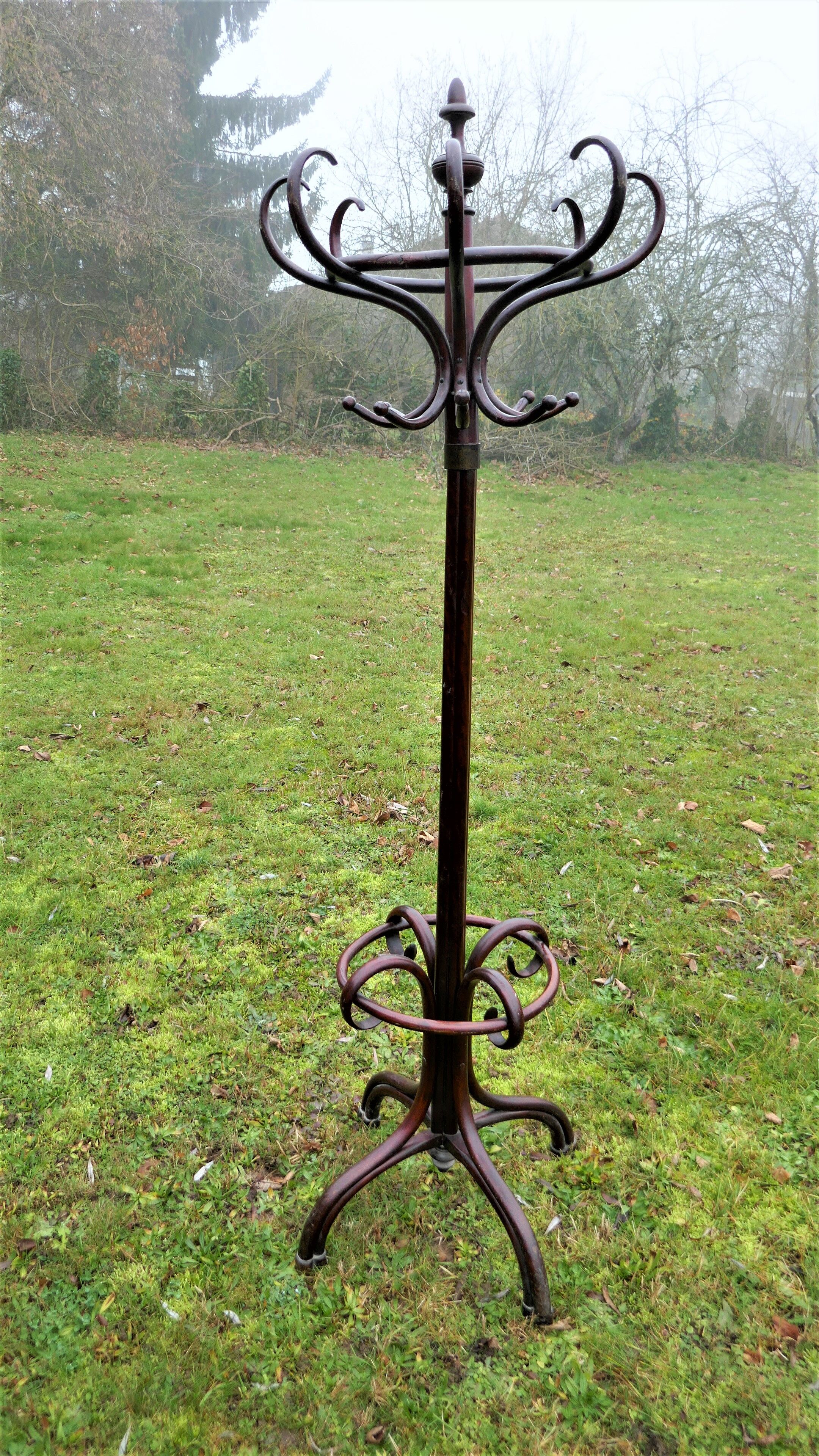 Old bistro parrot coat holder