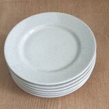 6 assiettes en grès Tulowice