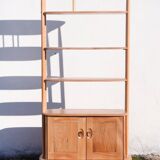 Vintage Bookcase / Room Divider - Windsor / Giraffe Model - Ercol